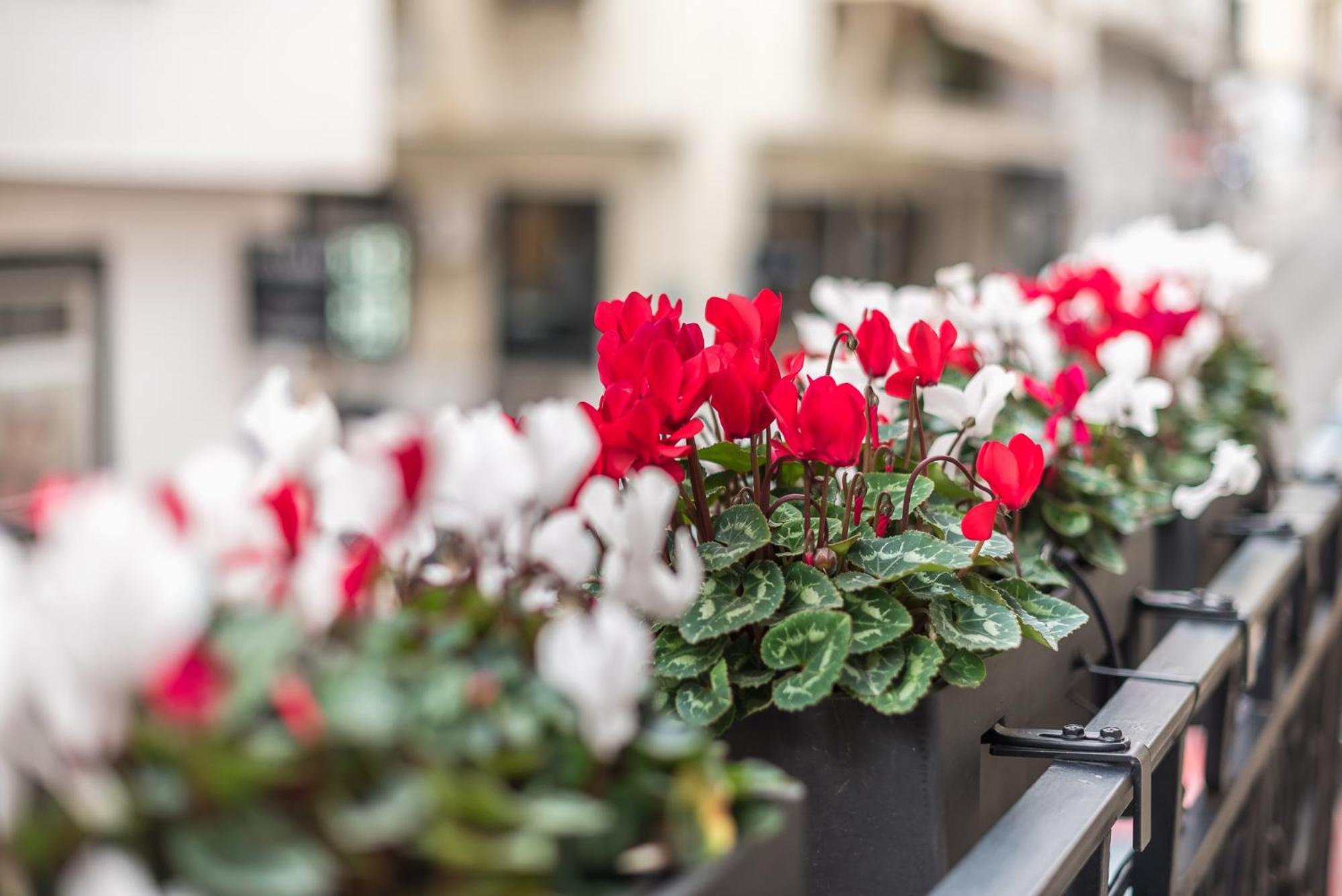 The Rare Luxury Gem Near Syntagma, Kolonaki Square Apartment Athens Luaran gambar